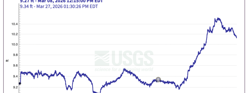 Manistee River Steelhead Report