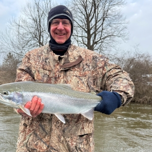 Manistee River Steelhead Report