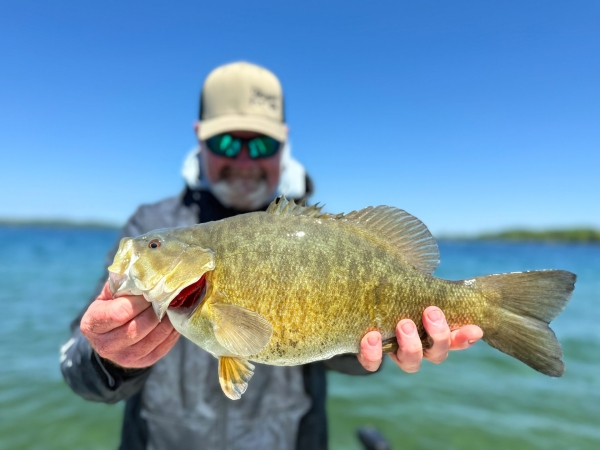 Northern Michigan Smallmouth Bass