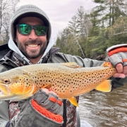 trout fishing the upper manistee