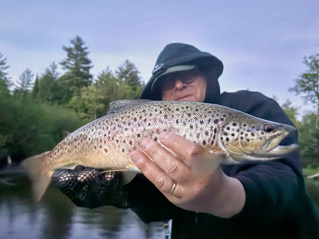 Upper Manistee River trout fishing report